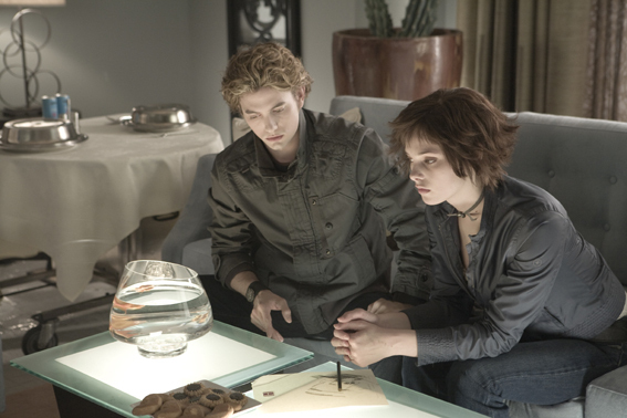 alice-cullen-alice-cullen-2588196-567-378.jpg