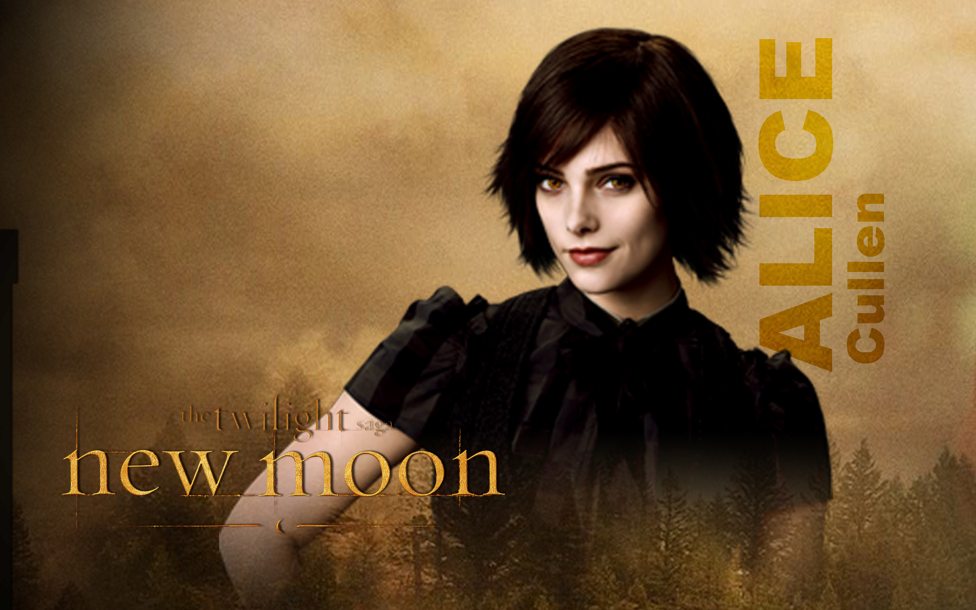 alice-cullen-alice-cullen-7726298-1920-1200.jpg