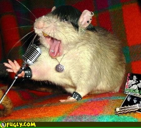 Punk_Rock_Rat.jpg